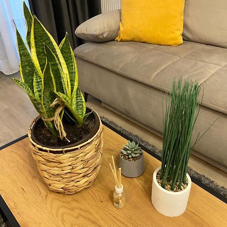 Mirage Sunset Mamaia Apartment Ngoại thất bức ảnh