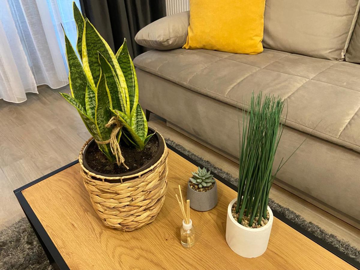 Mirage Sunset Mamaia Apartment Ngoại thất bức ảnh